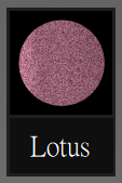 Liquid Velvet Lipstick - Lotus